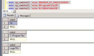 Environment Variables Output 